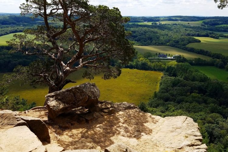 Lodi, WI Homes for Sale and Realtors