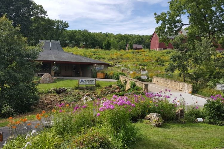 Mount Horeb, WI Homes for Sale & Real Estate